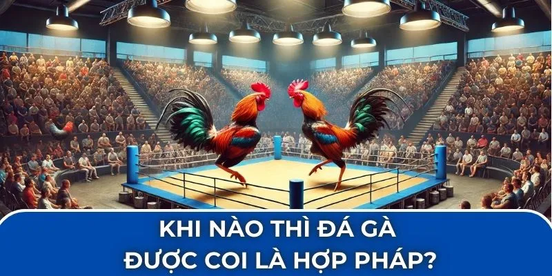 Khi nào thì đá gà được coi là hợp pháp?
