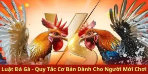 luật đá gà