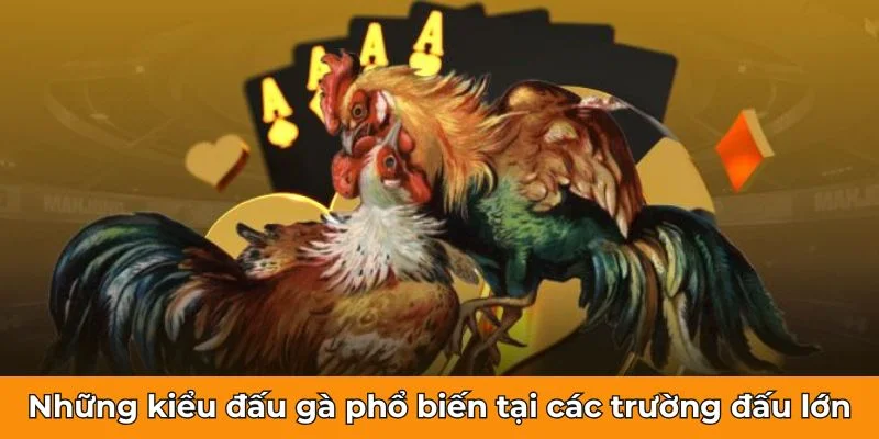 Những kiểu đấu gà phổ biến tại các trường đấu lớn