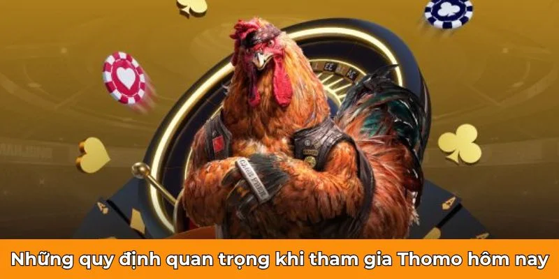 Những quy định quan trọng khi tham gia Thomo hôm nay