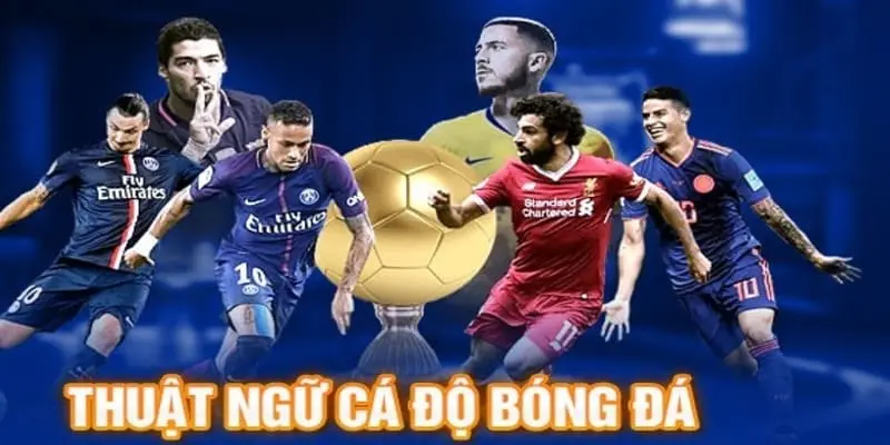 Những tiếng lóng khi cá độ thể thao