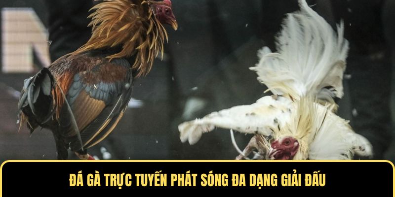 Phát sóng đa dạng giải chọi gà