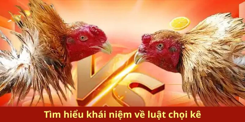 Tìm hiểu khái niệm về luật chọi kê