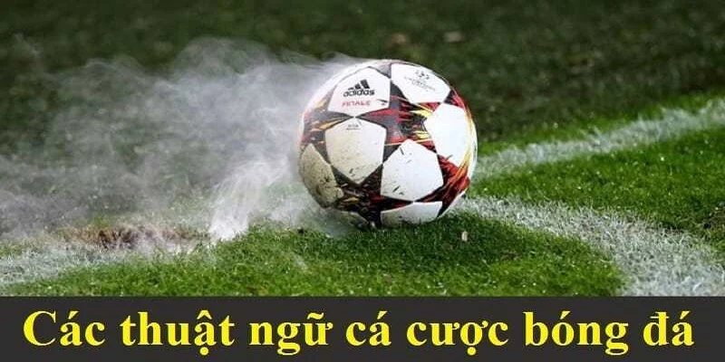 Tổng hợp các thuật ngữ hay mà người mới nên nắm rõ