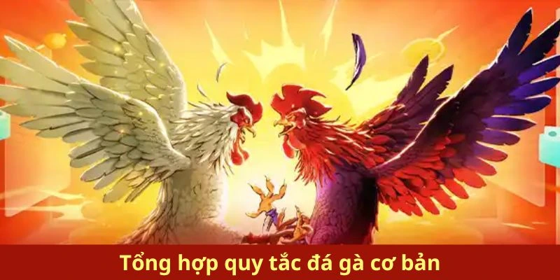 Tổng hợp quy tắc đá gà cơ bản